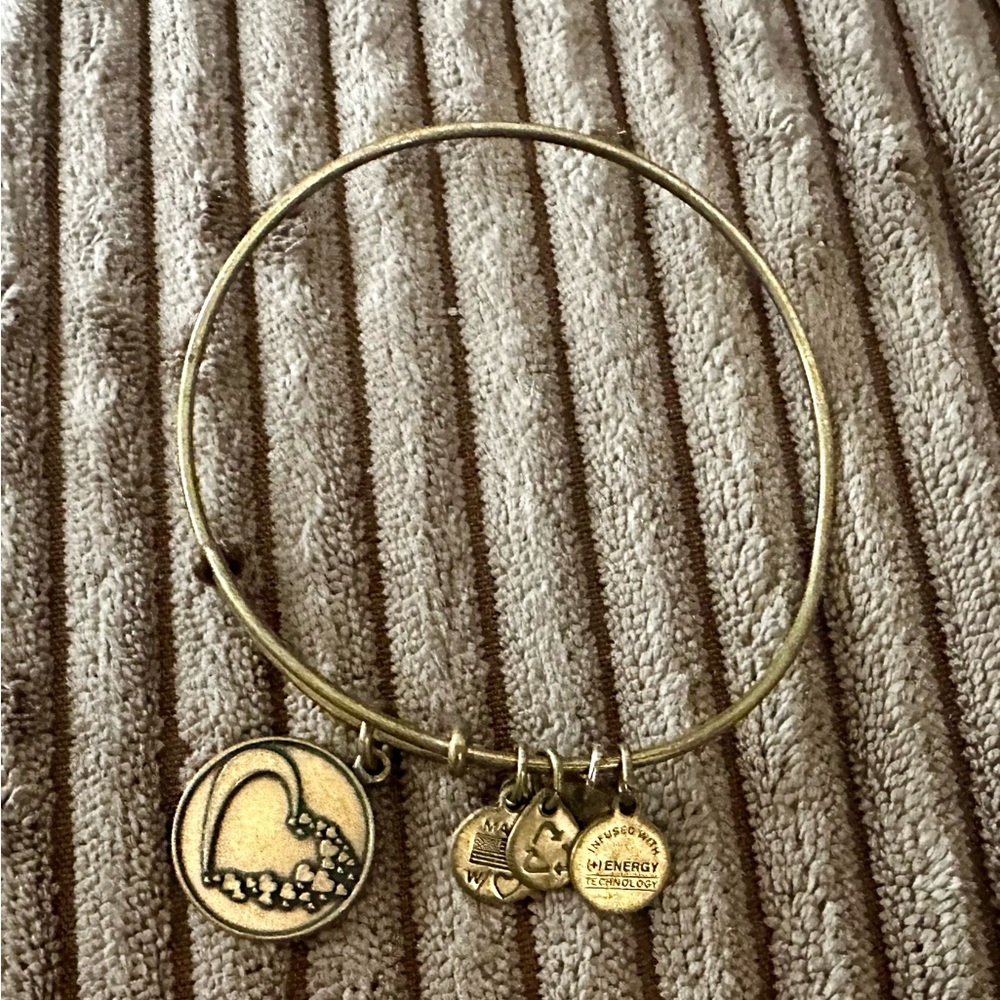 Alex and Ani Gold Charm Bracelet